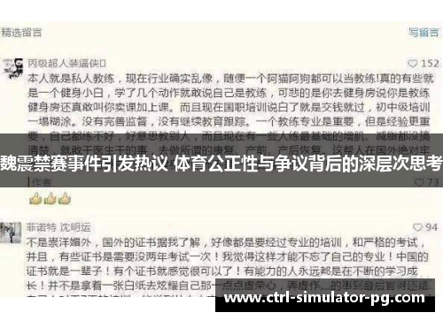 魏震禁赛事件引发热议 体育公正性与争议背后的深层次思考