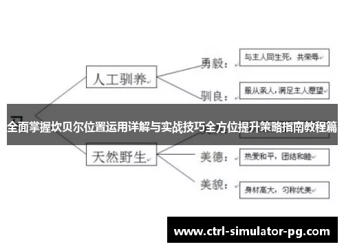 全面掌握坎贝尔位置运用详解与实战技巧全方位提升策略指南教程篇 全面掌握坎贝尔位置运用详解与实战技巧全方位提升策略指南教程篇