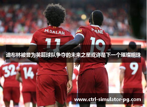 迪布林被誉为英超球队争夺的未来之星或许是下一个璀璨明珠